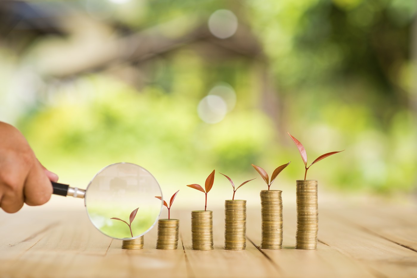 Navigating Early-Stage Investments
