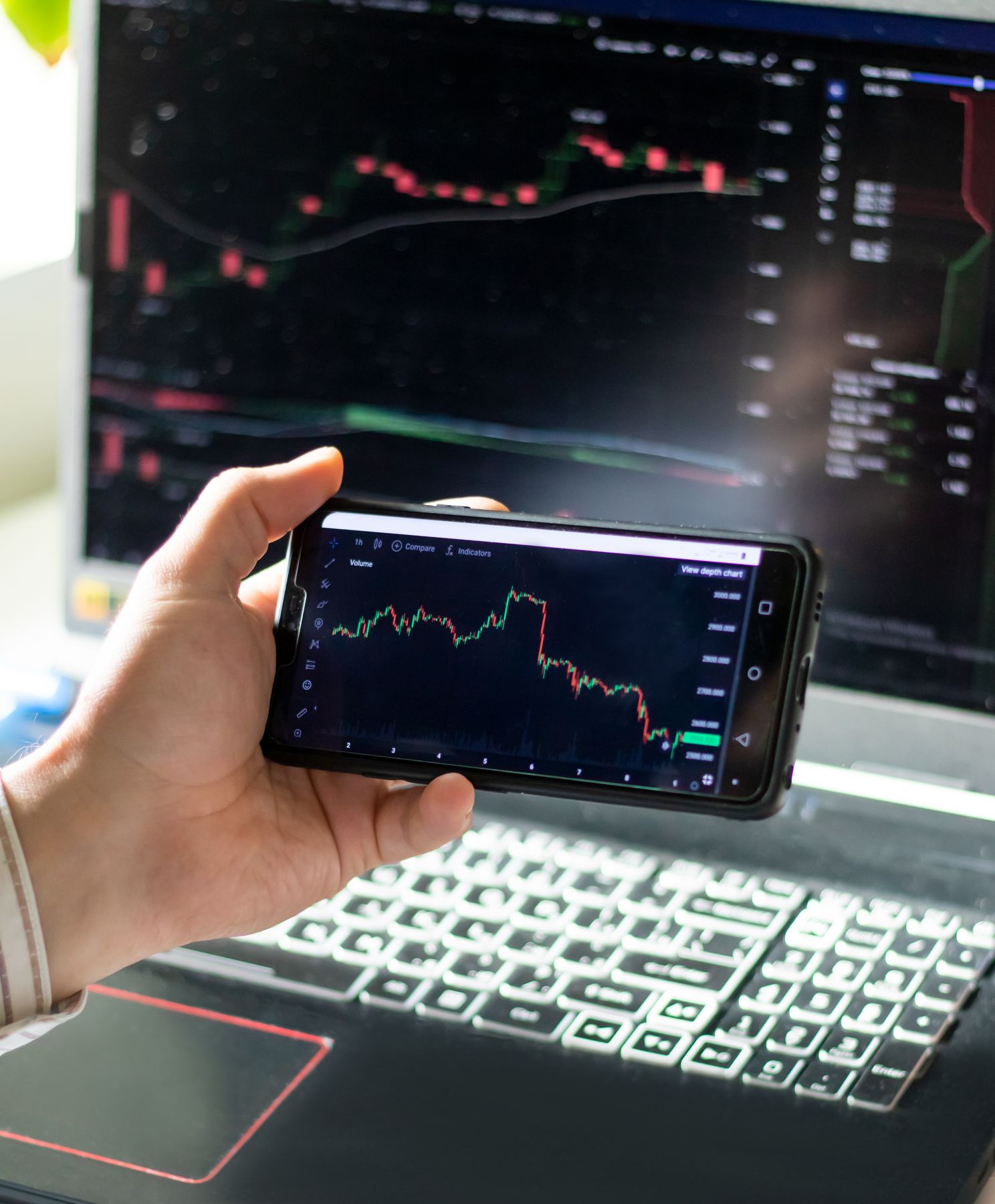 Investment Portfolio Management